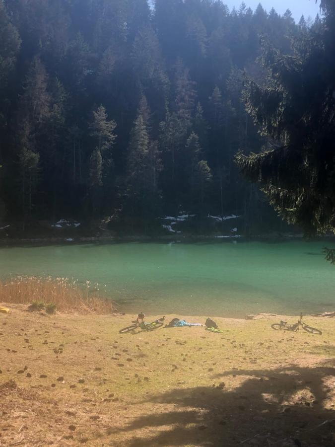 レルモースPanoramablickアパートメント エクステリア 写真